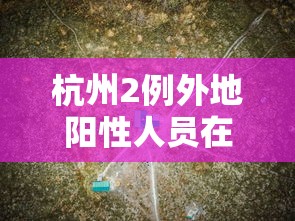 杭州2例外地阳性人员在杭轨迹公布/杭州外来输入病例