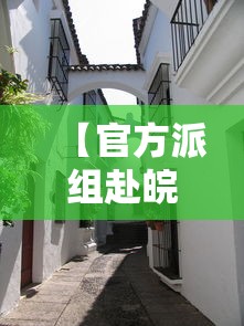 【官方派组赴皖北小城/皖北古城】