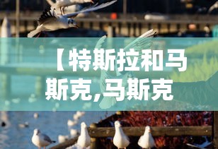 【特斯拉和马斯克,马斯克特斯拉】