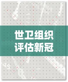 世卫组织评估新冠R值/新冠世卫报告 世卫组织评估新冠R值/新冠世卫报告