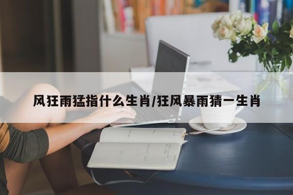 风狂雨猛指什么生肖/狂风暴雨猜一生肖